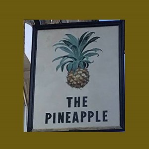 The Pineapple